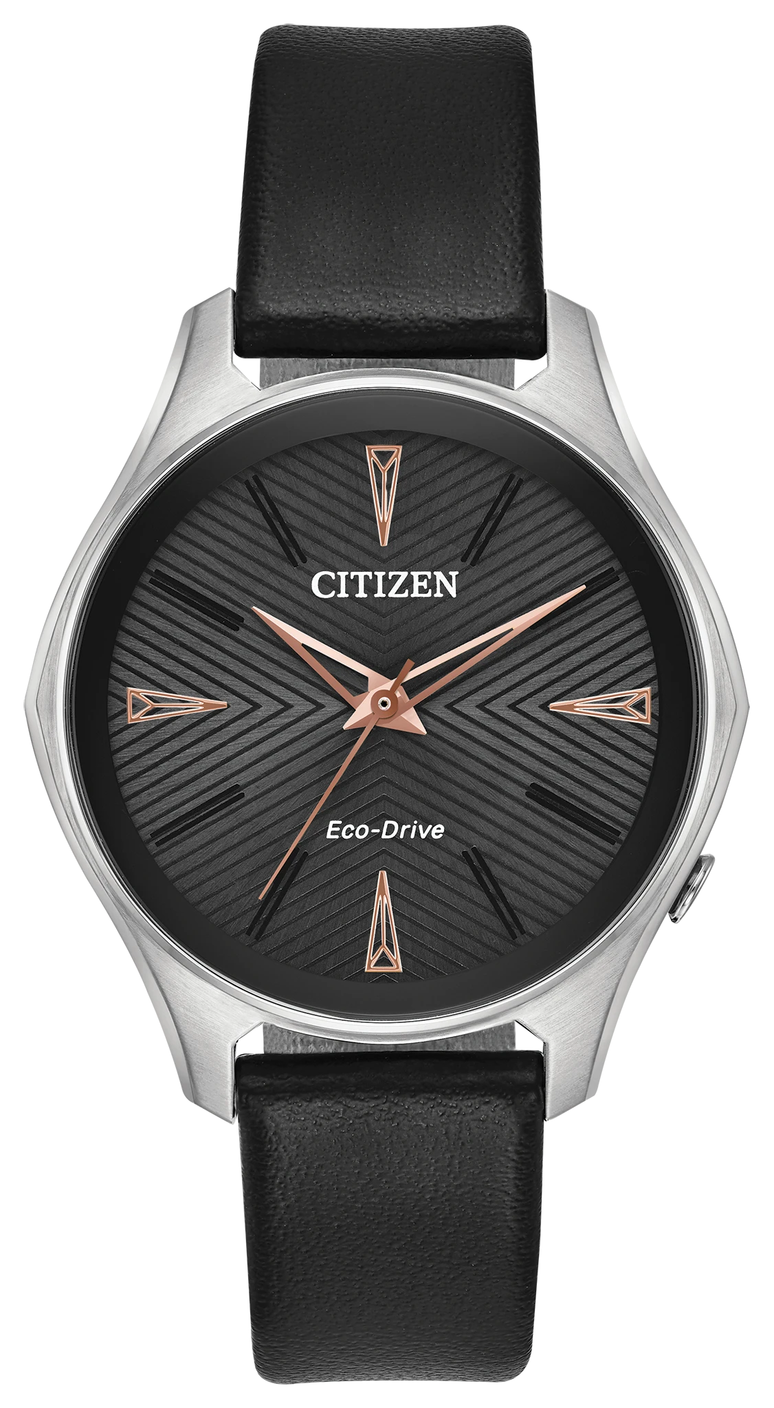 Modena image number 0