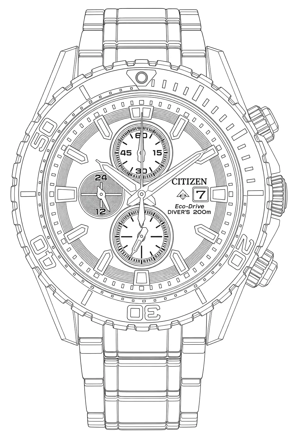 Watch technical diagram
