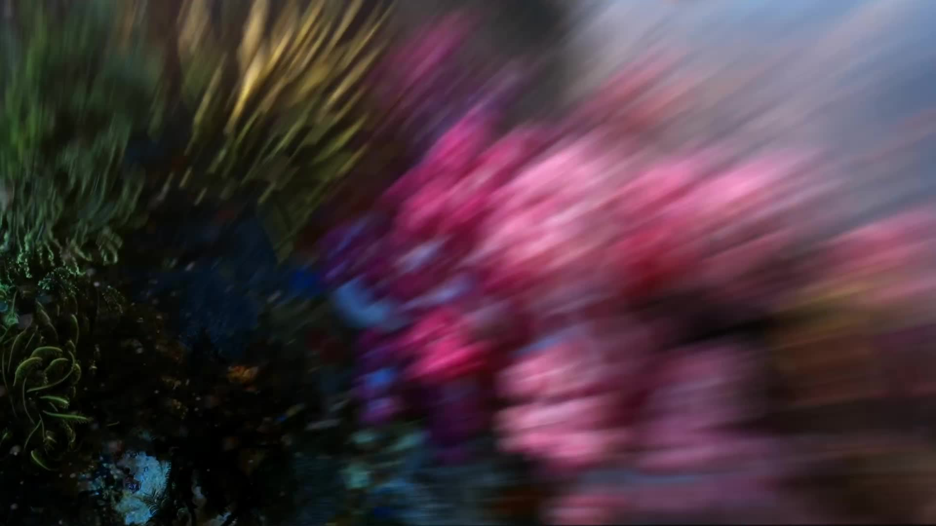 image number 7