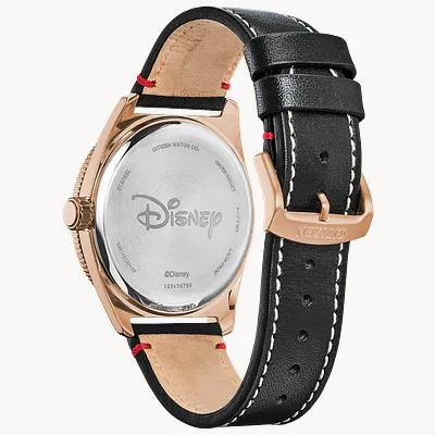 Mickey Mouse Mickey Mouse