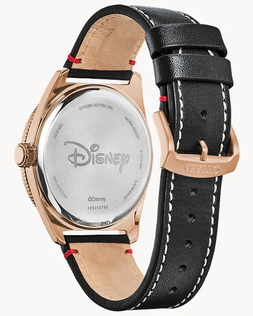 Mickey Mouse image number 2