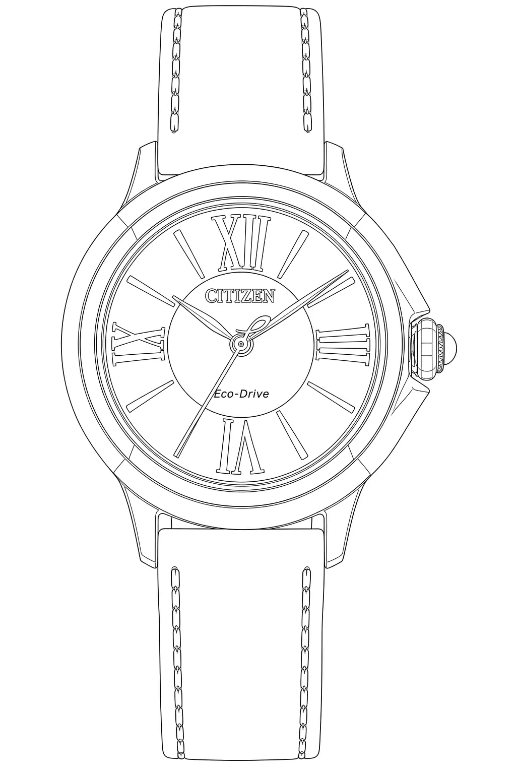 Watch technical diagram