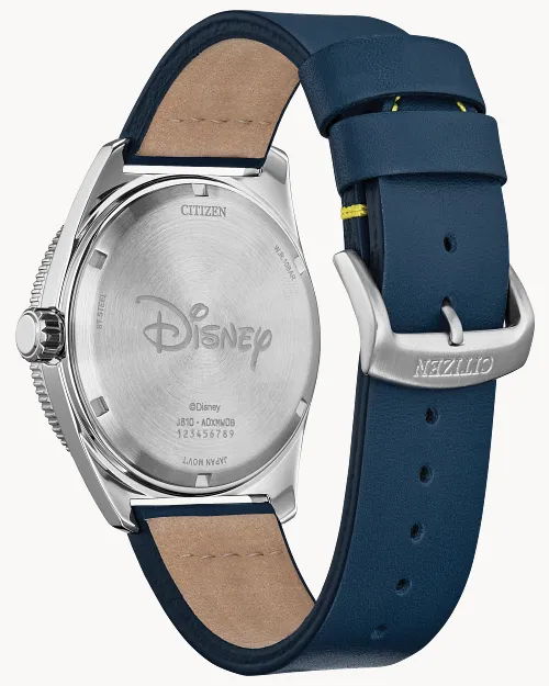 Donald Duck image number 2