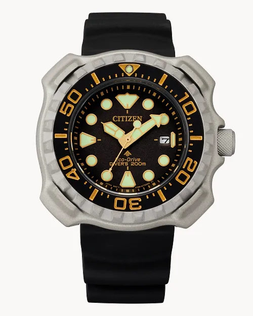 Promaster Dive image number 0