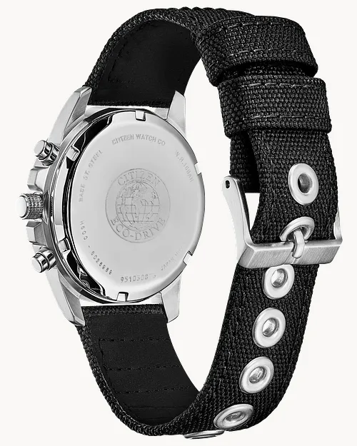 Chandler image number 2