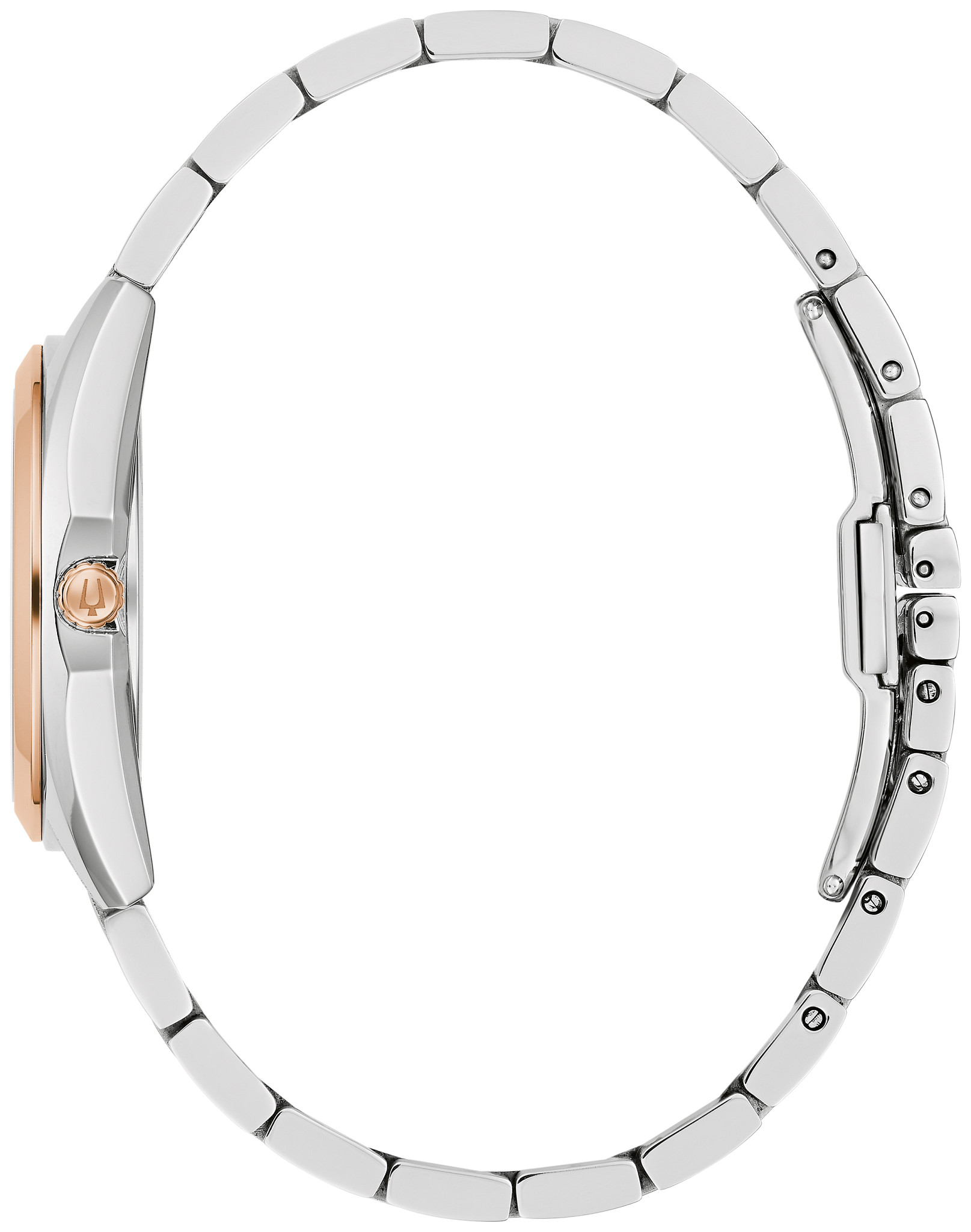 Surveyor image number 1