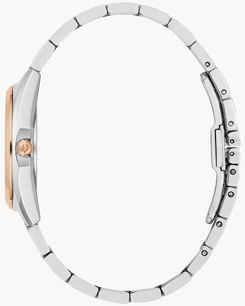 Surveyor image number 1