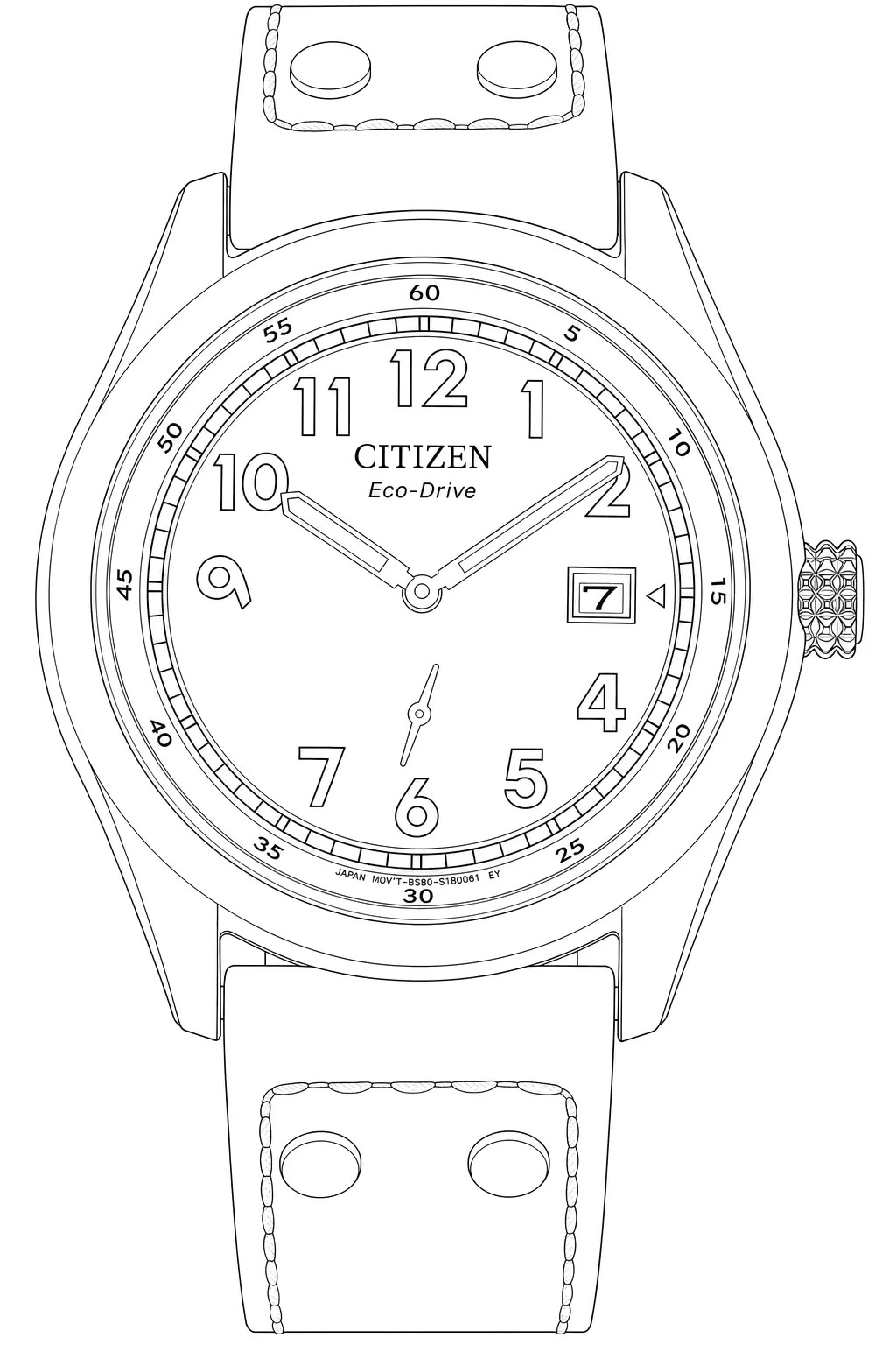 Watch technical diagram