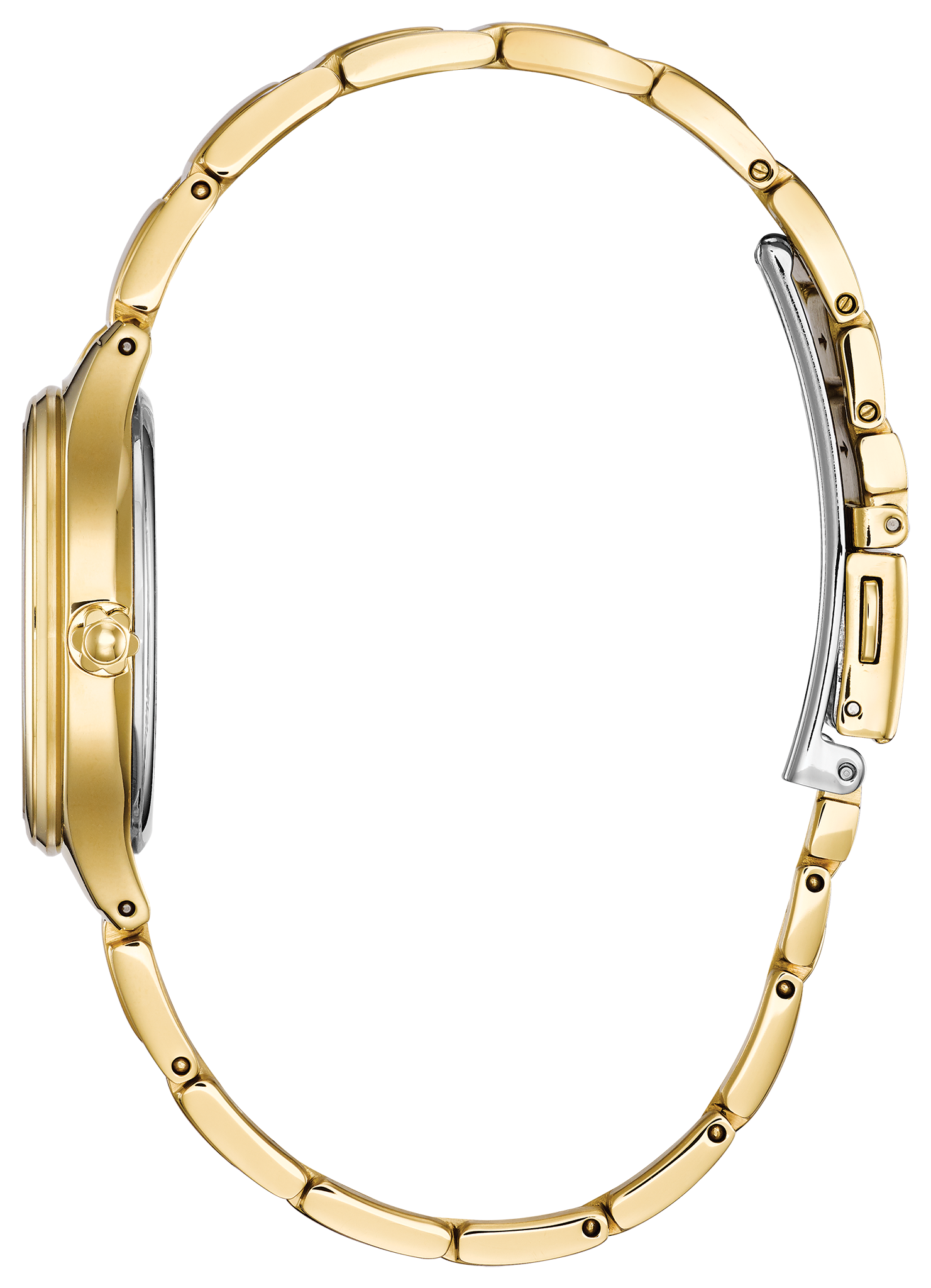 Corso image number NaN