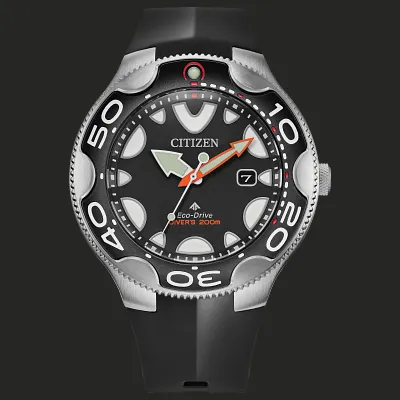Promaster Dive Promaster Dive