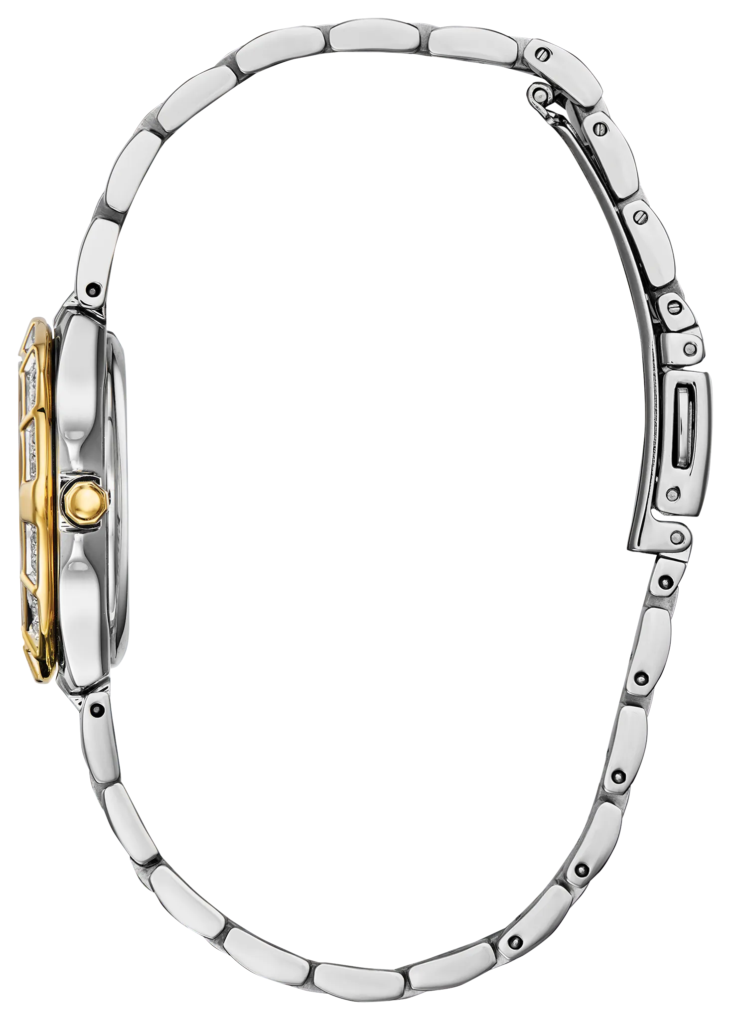 Corso image number 1