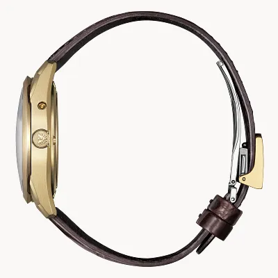 The CITIZEN The CITIZEN