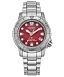 Promaster Dive