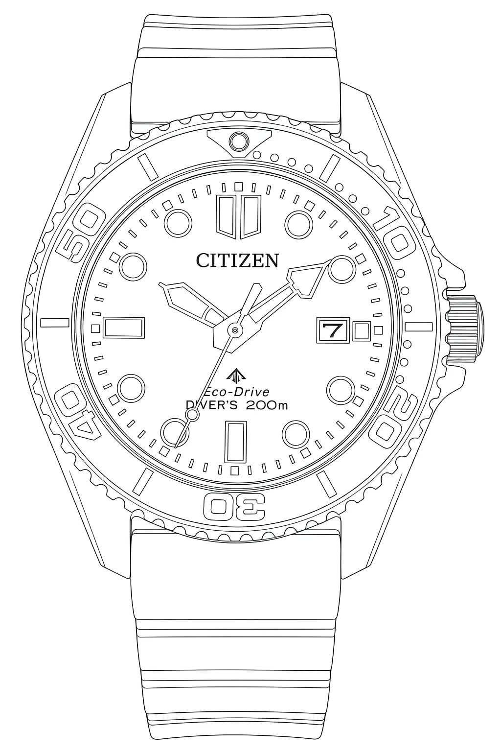Watch technical diagram