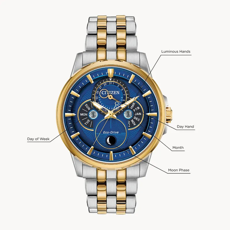 Citizen eco drive moon phase watch hotsell