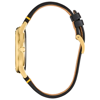 Donald Duck Seeing Stars