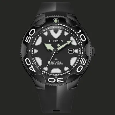 Promaster Dive Promaster Dive