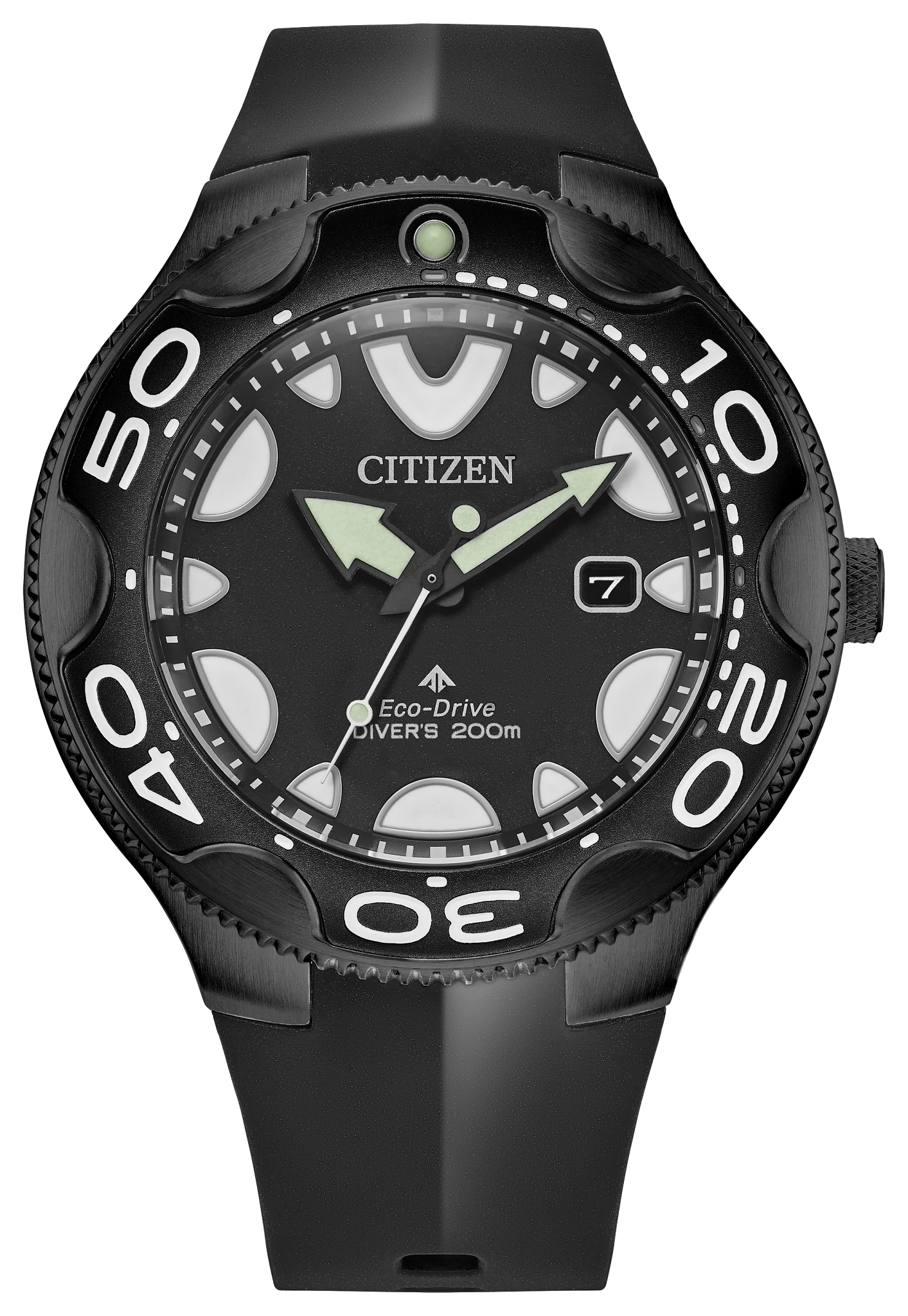 Promaster Plong&eacute;e professionnelle