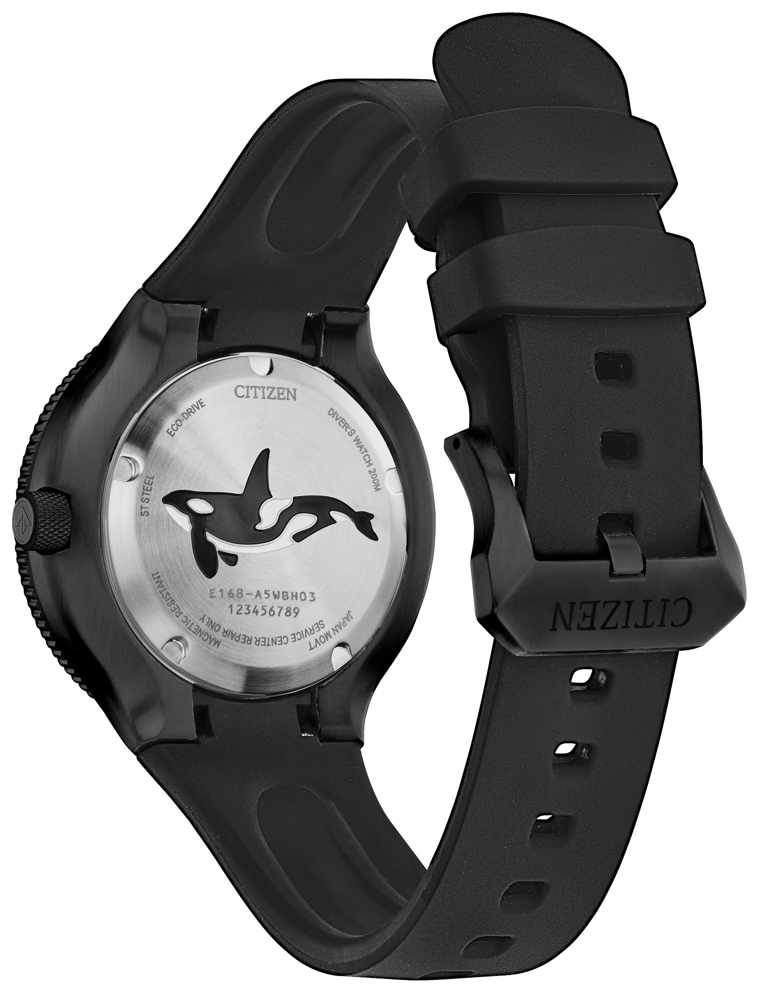Promaster Dive - view 2