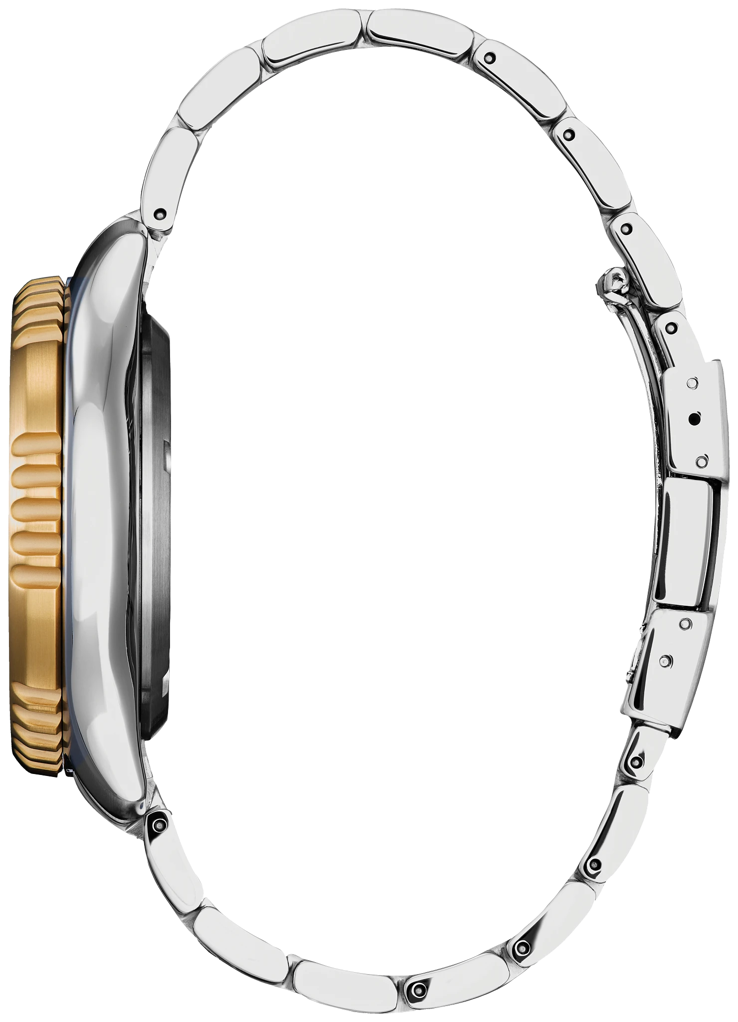 Promaster Dive Automatic