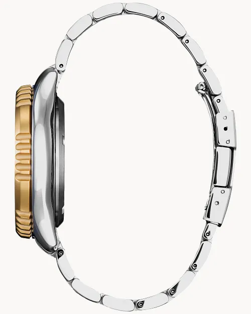 Promaster Dive Automatic image number 1