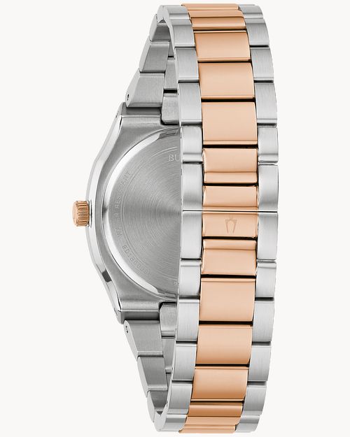 Surveyor image number 2