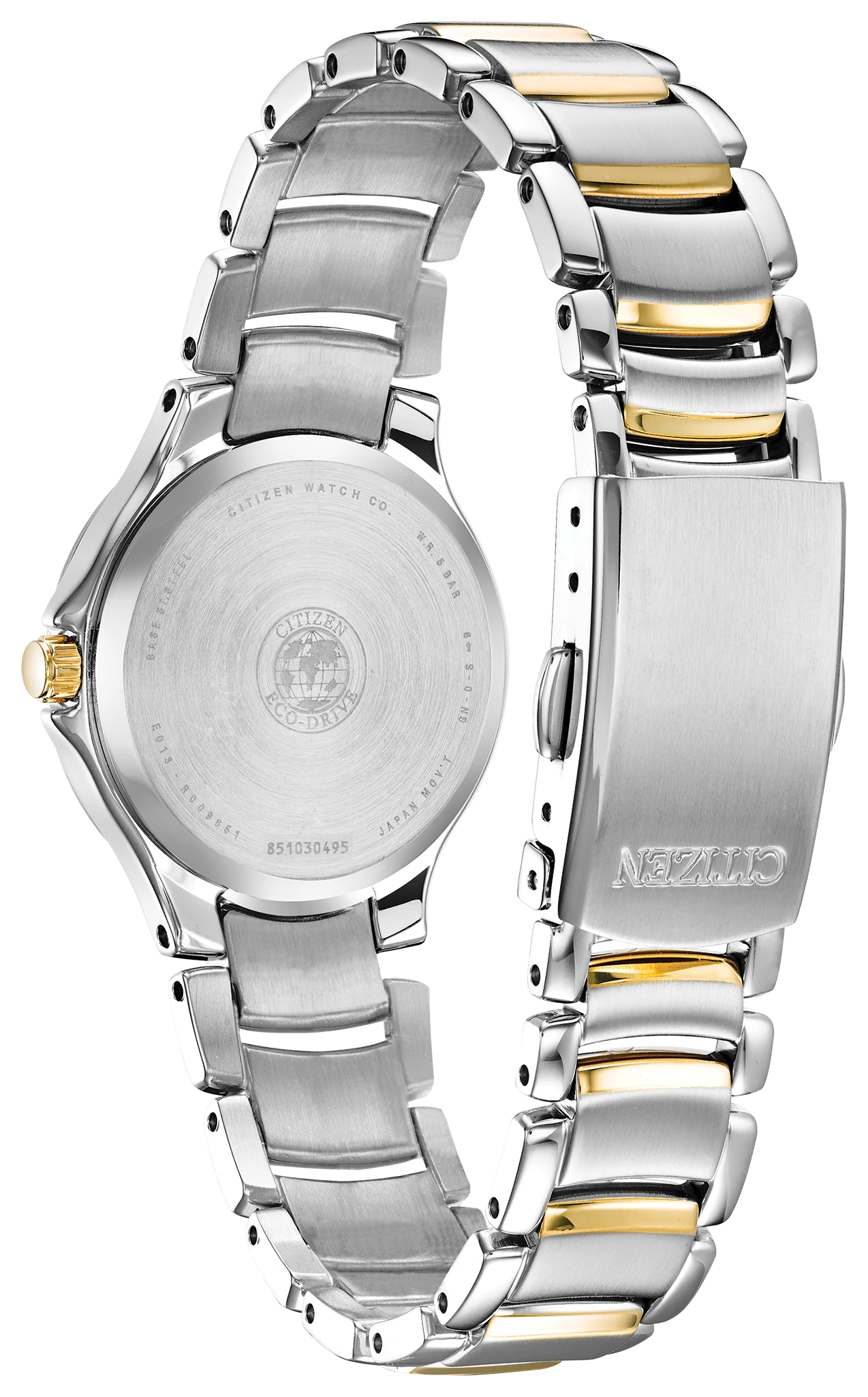 Chandler image number 2