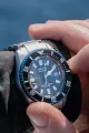 Promaster Fujitsubo image number 4