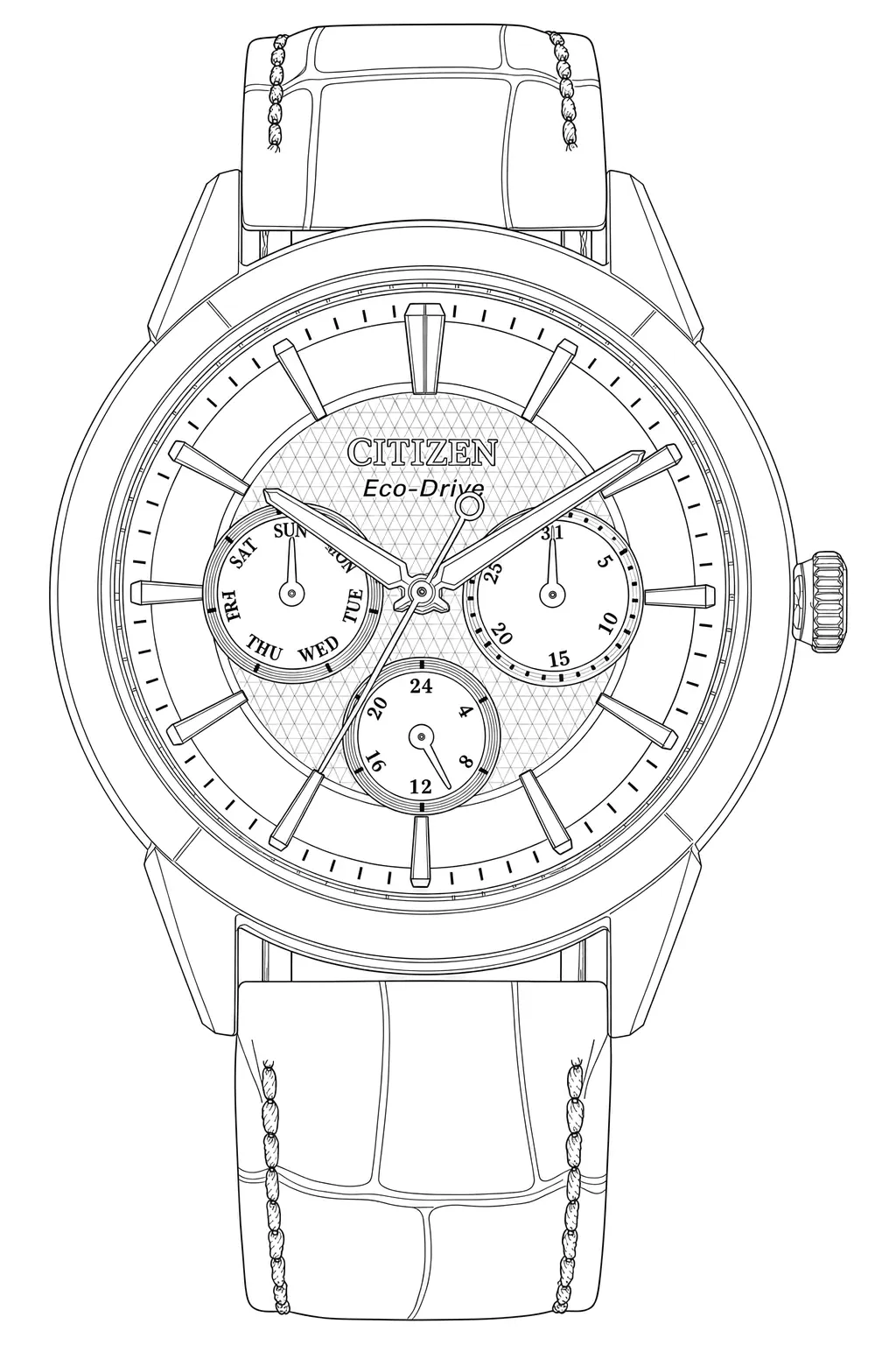 Watch technical diagram
