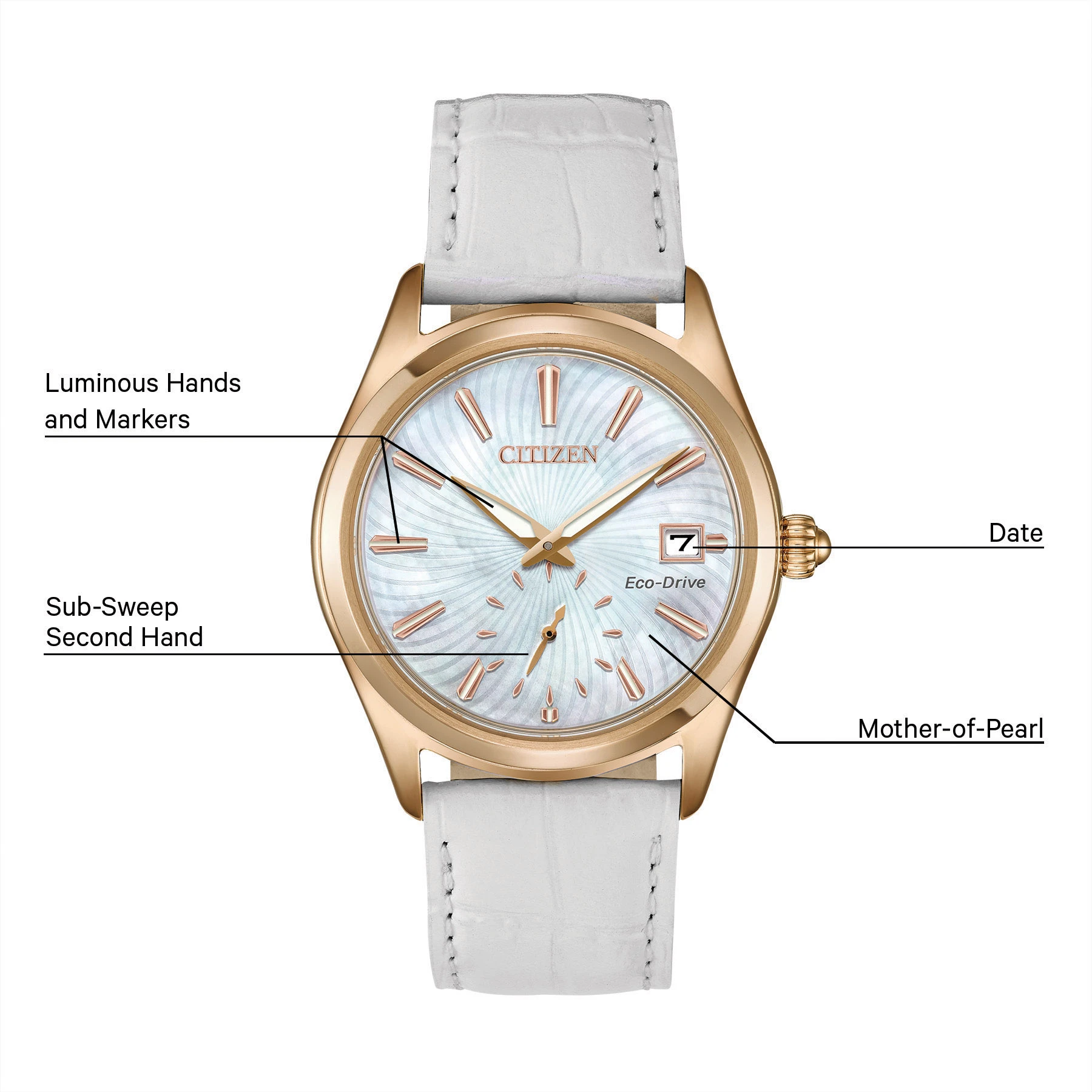 Corso image number 4