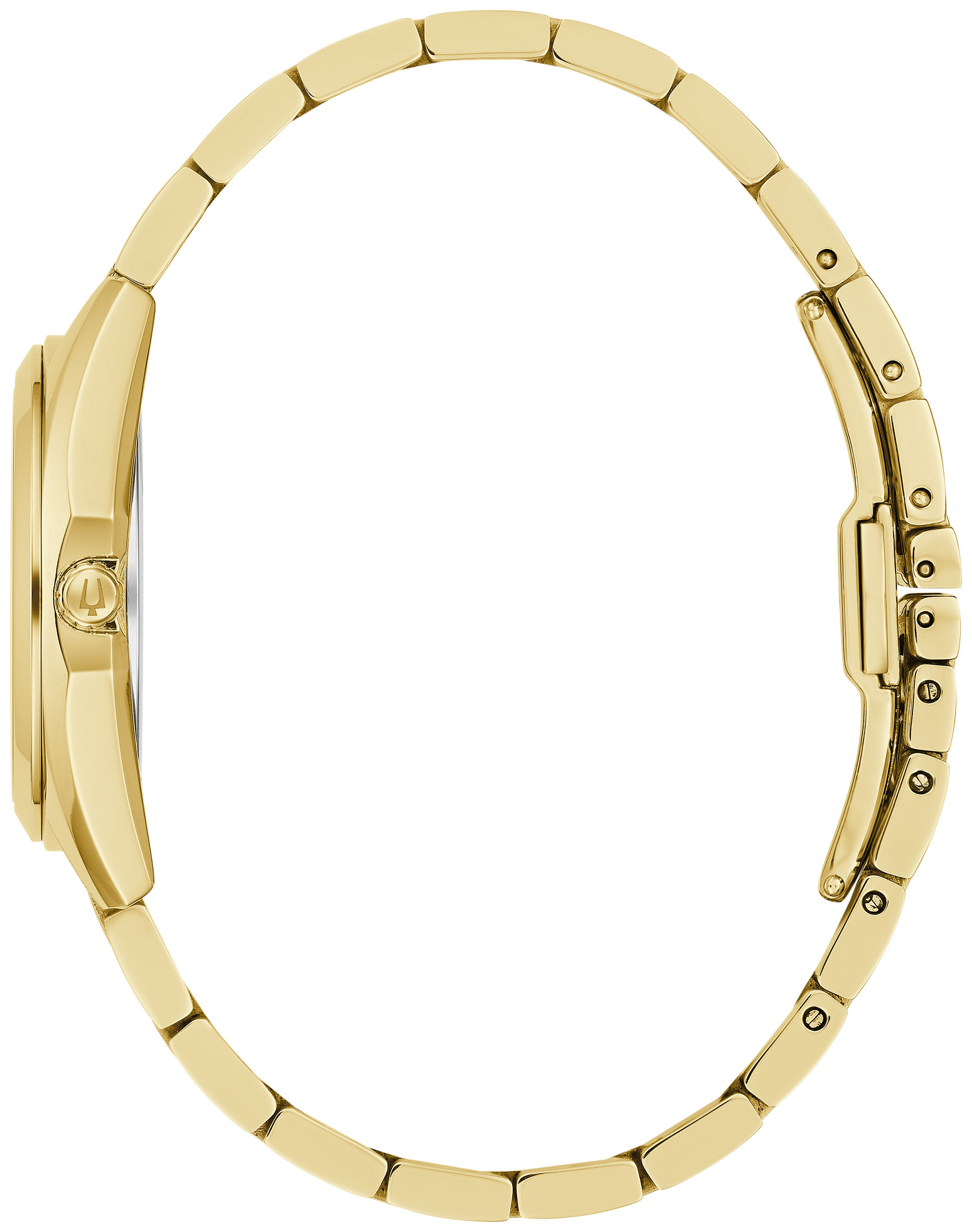 Surveyor image number 1