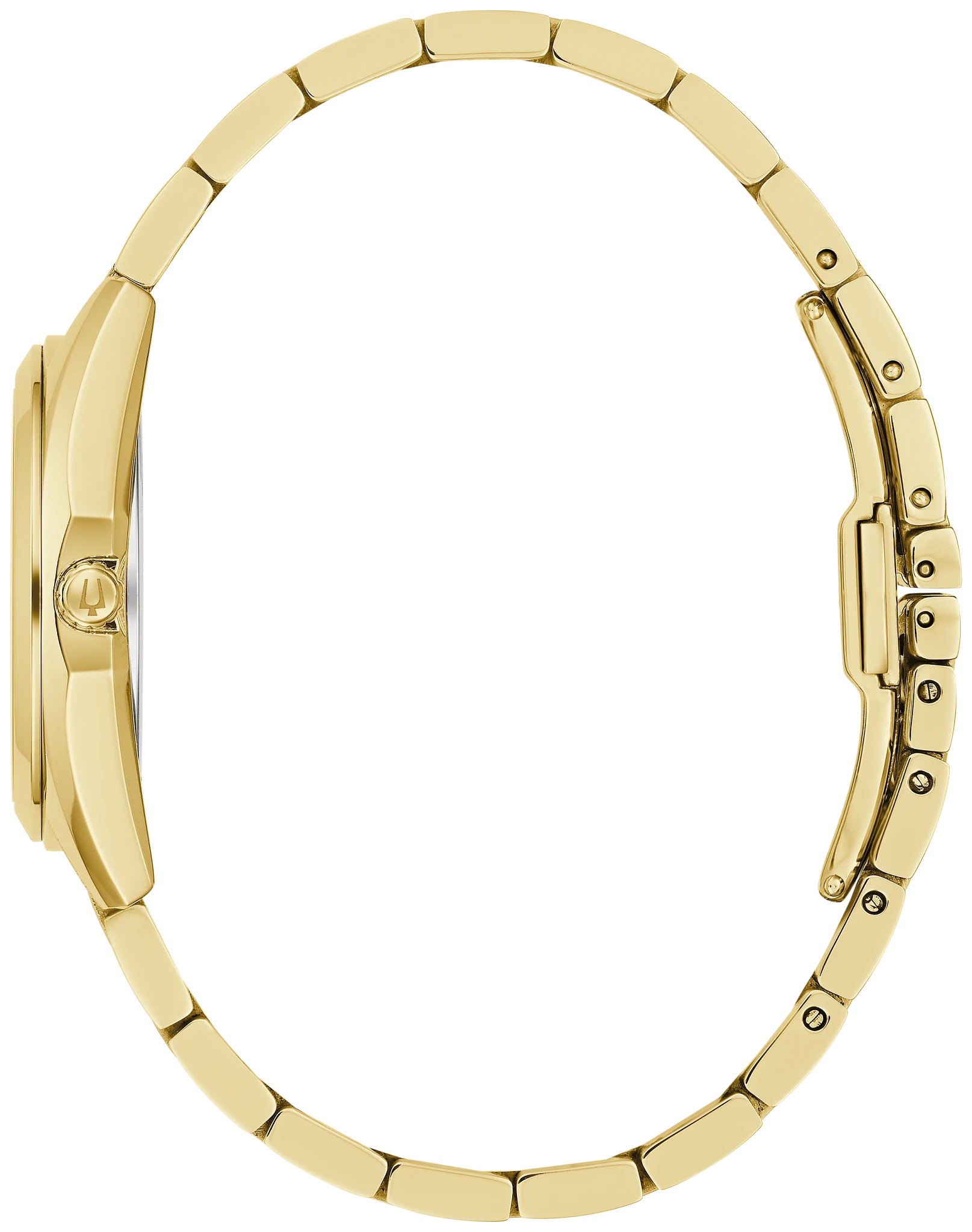 Surveyor image number 1