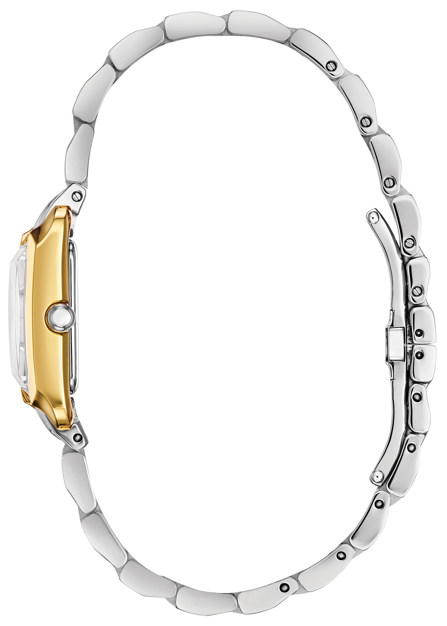 Bianca image number NaN