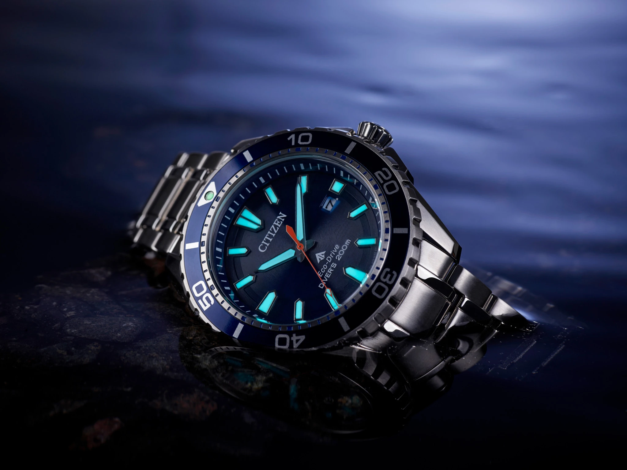 Promaster Dive