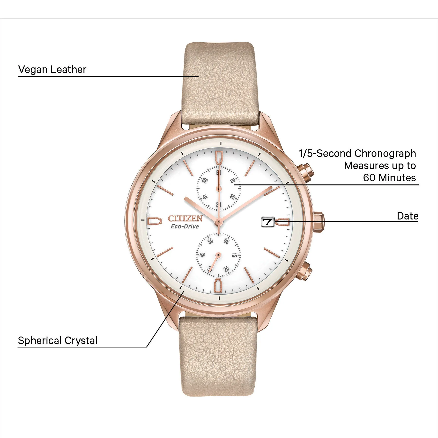 Chandler image number 4