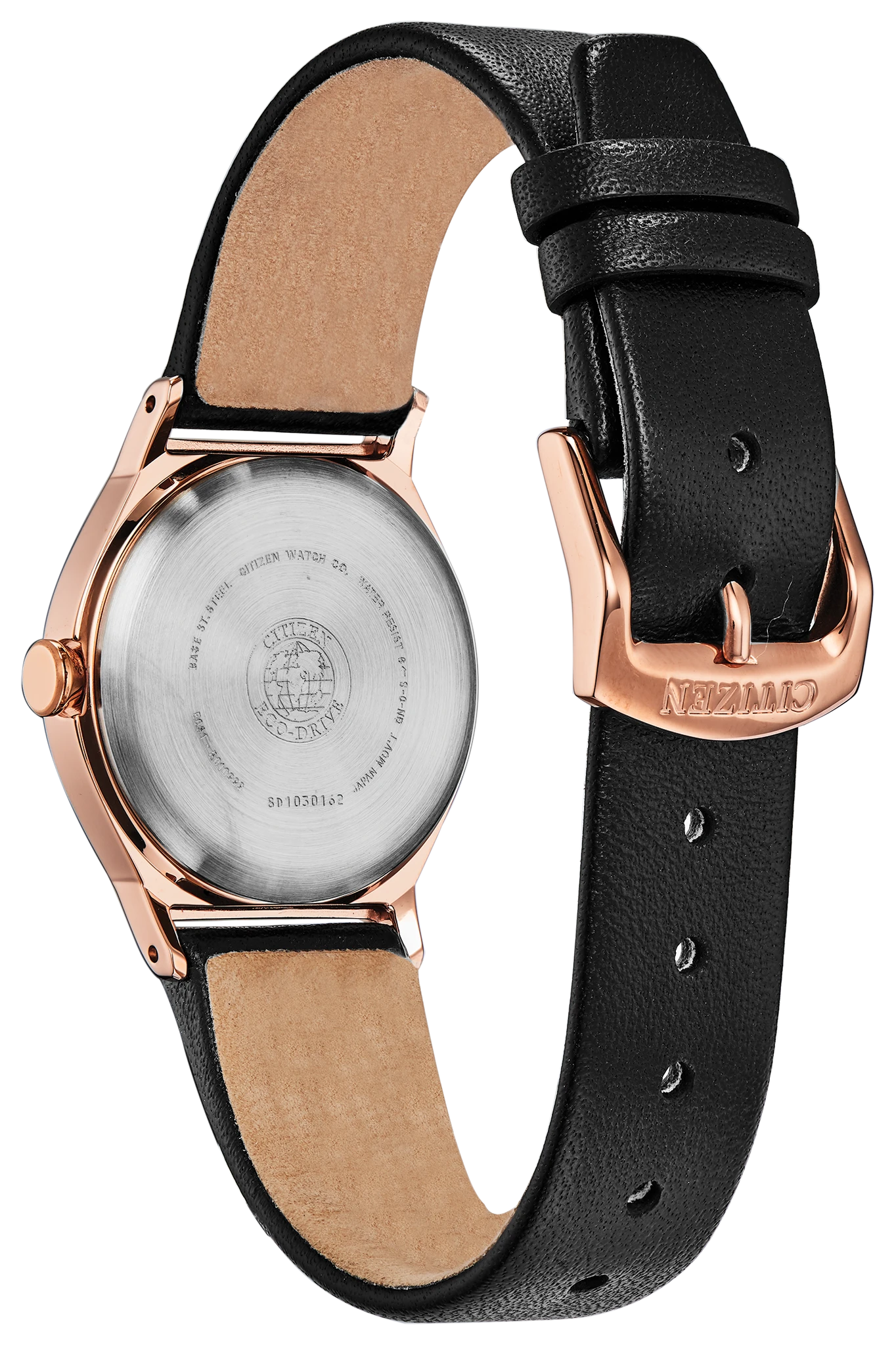 Axiom image number 2