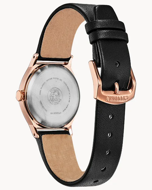 Axiom image number 2