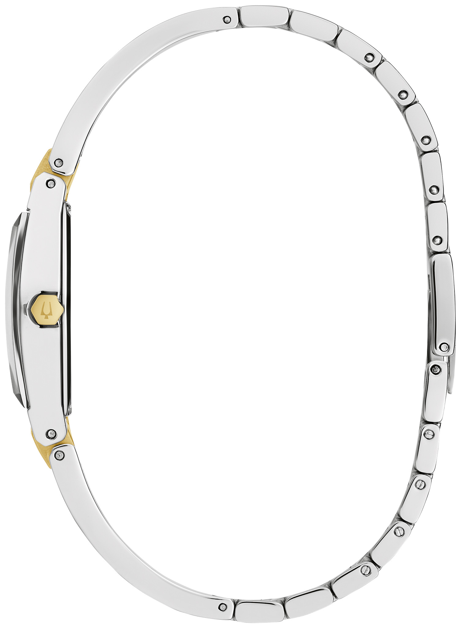 Gemini image number 1