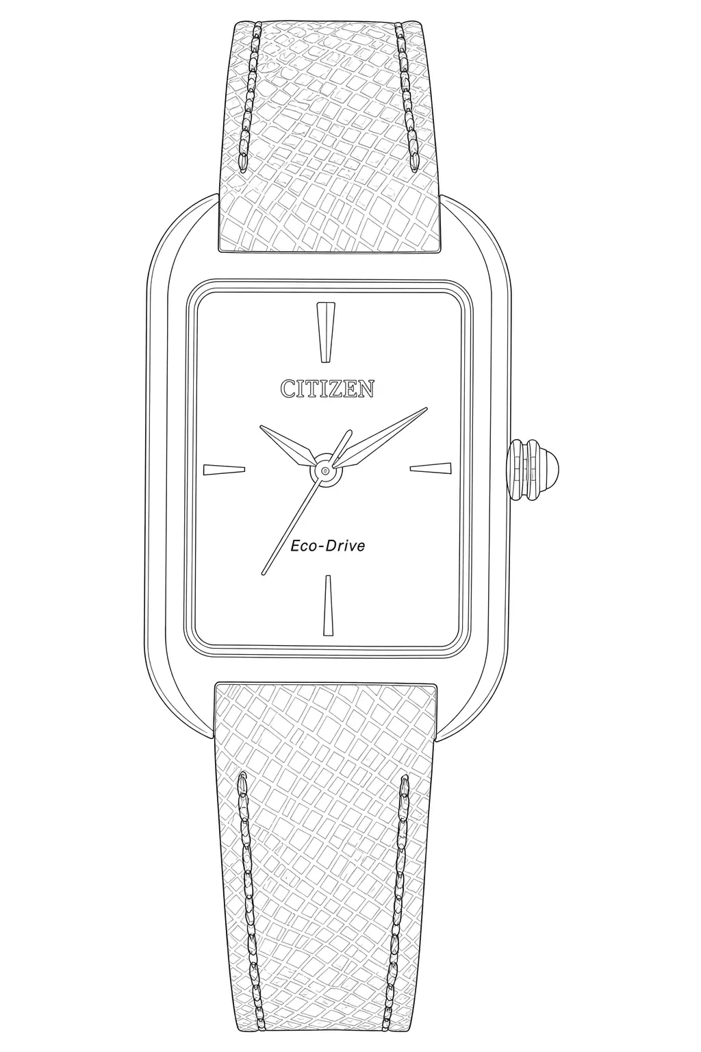 Watch technical diagram
