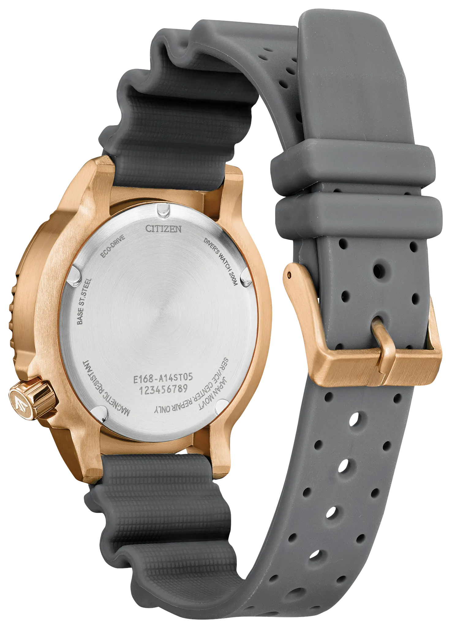 Promaster Dive - view 2