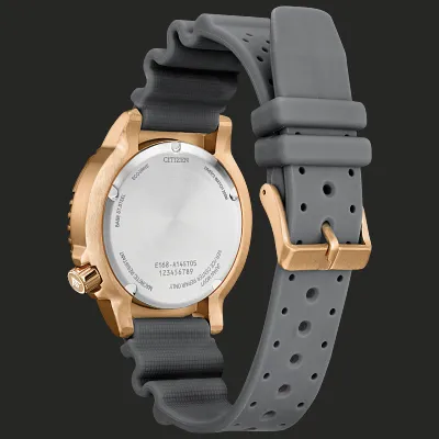Promaster Dive Promaster Dive