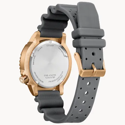 Promaster Dive Promaster Dive