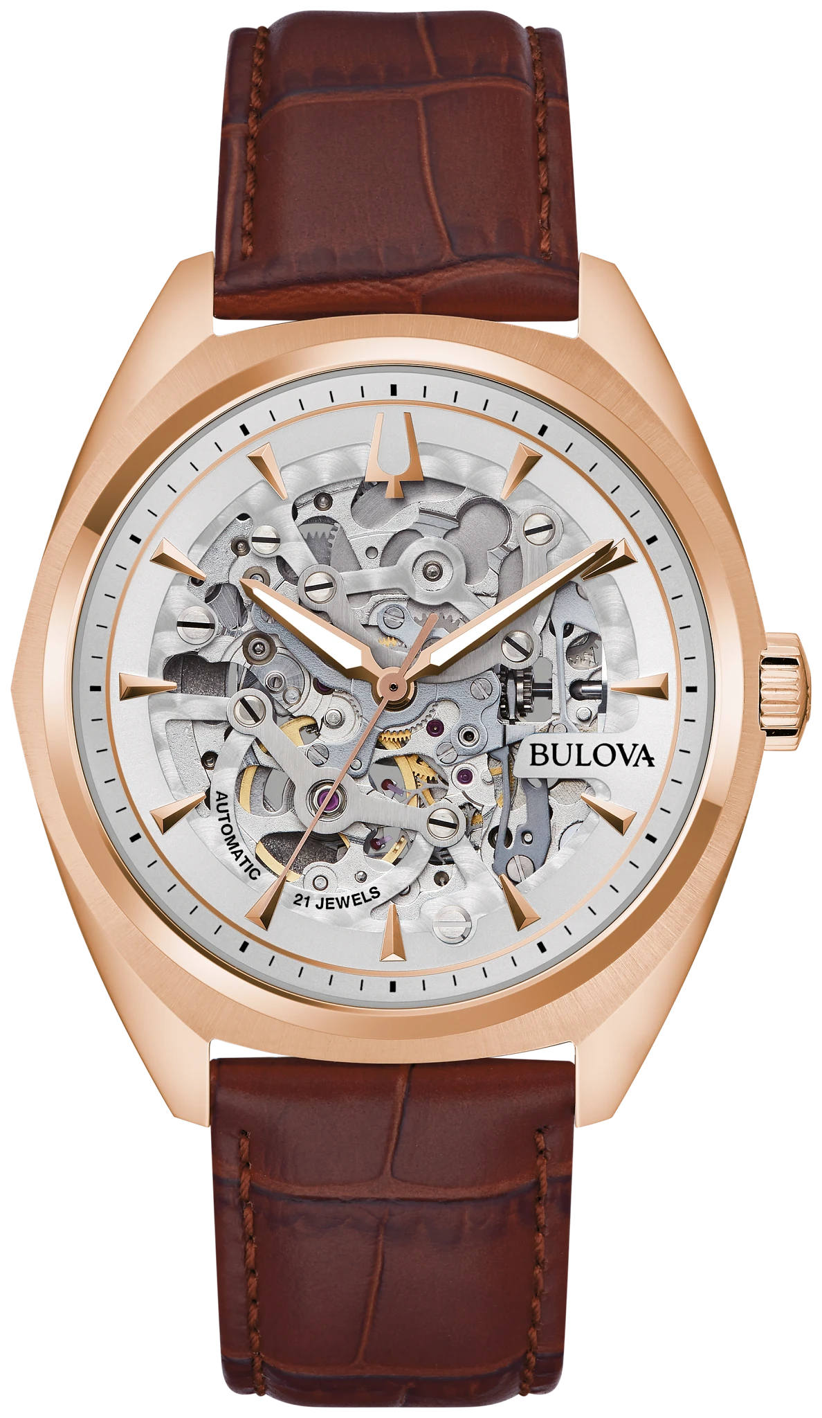 Surveyor image number 0