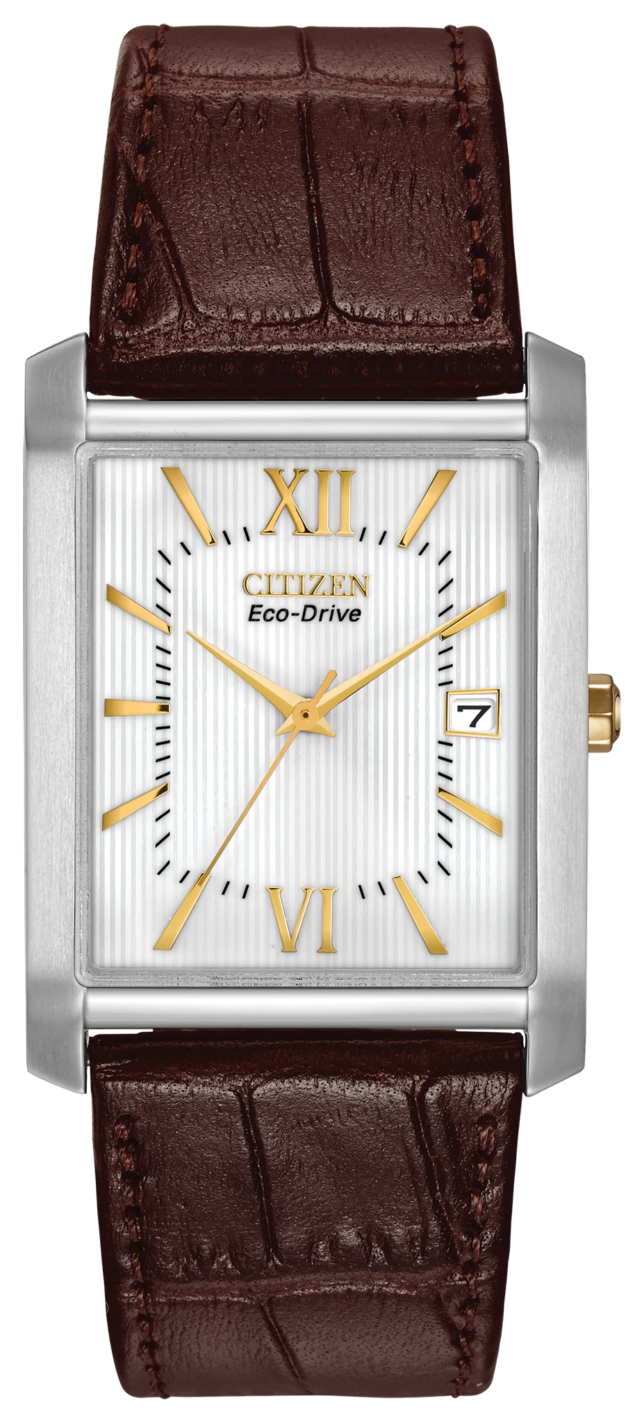 リオ CS866BURD – Torino Carrero Watch