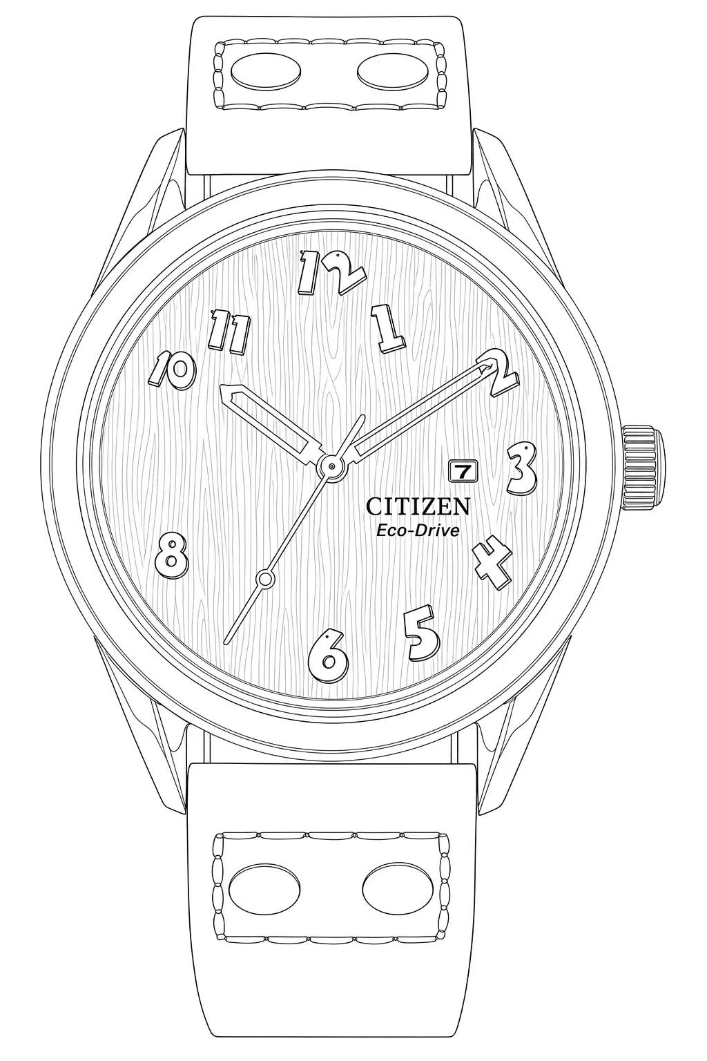 Watch technical diagram