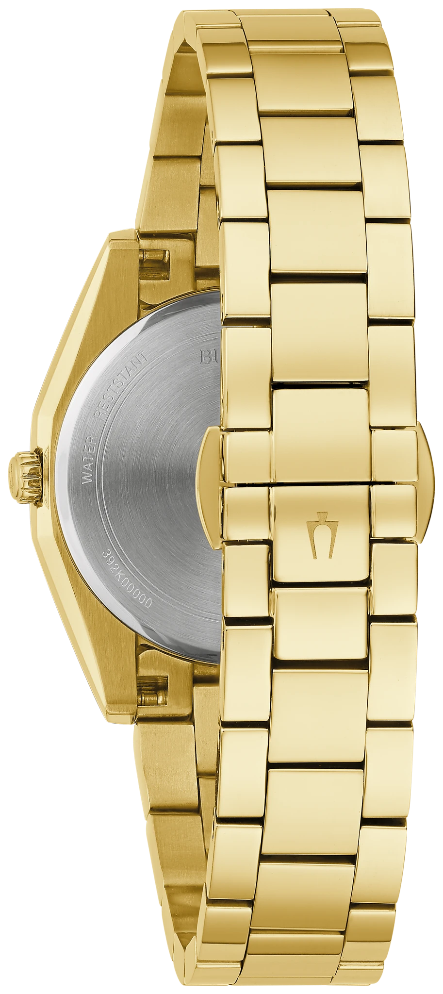 Surveyor image number 2