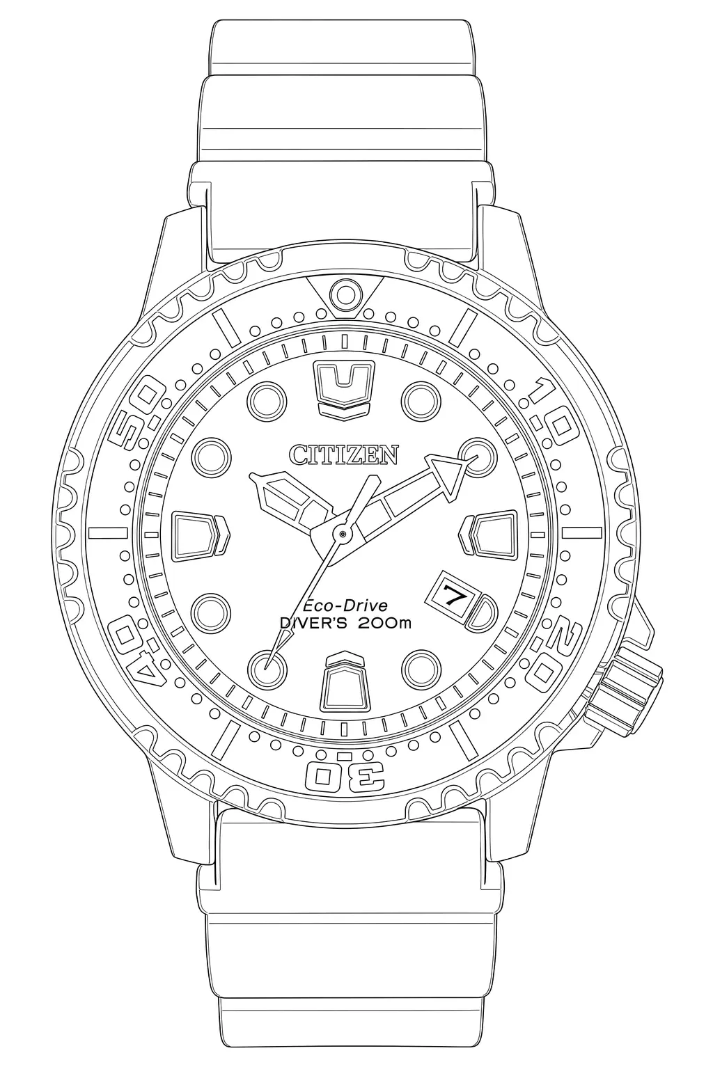 Watch technical diagram