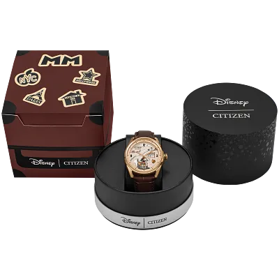 Hometown Mickey Mouse