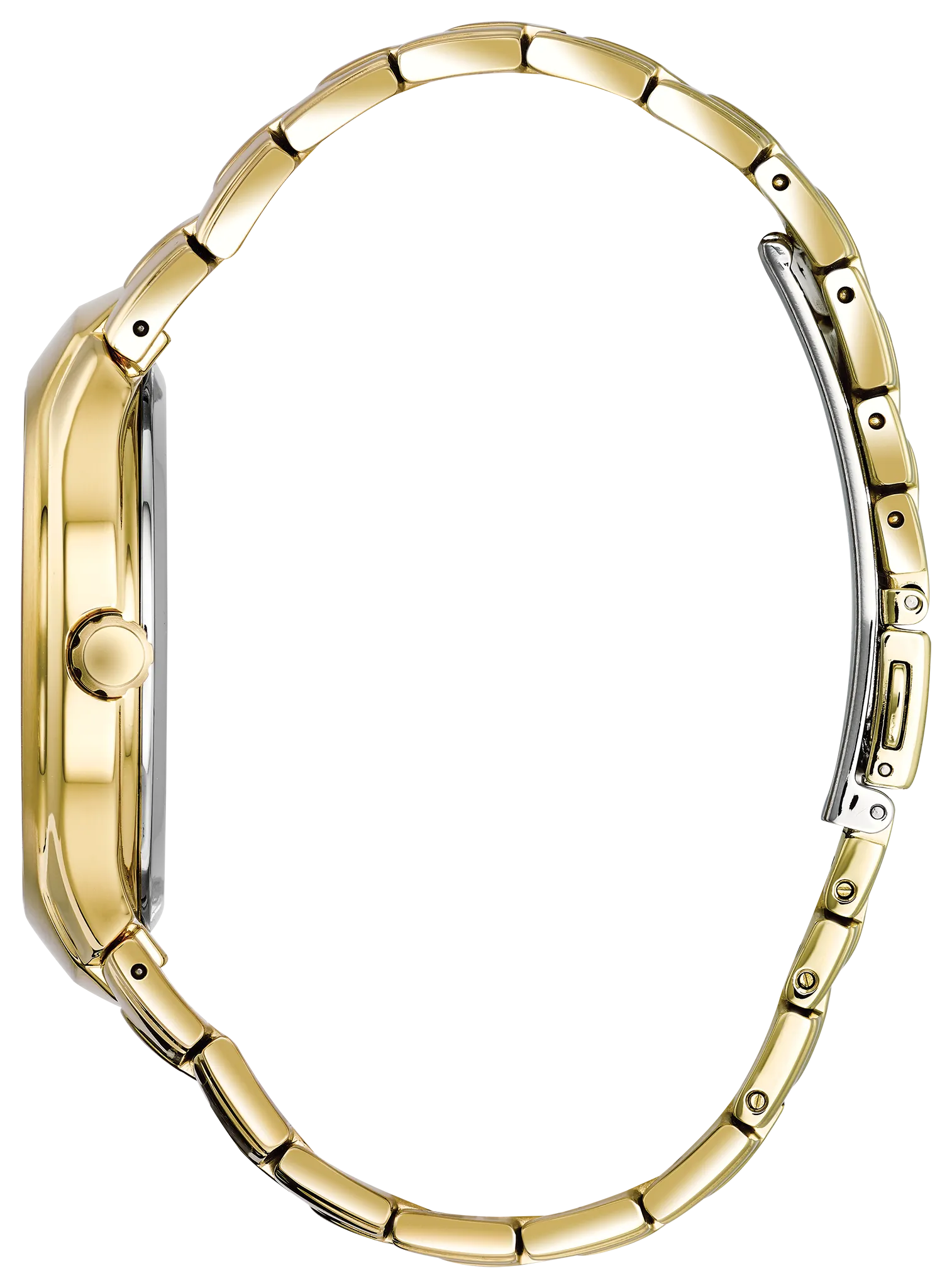 Paradigm image number 1