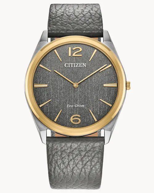New citizen watches 2019 online